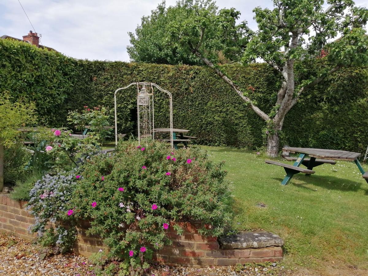 Shillingstone The Willows المظهر الخارجي الصورة